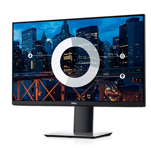 Dell P2419H